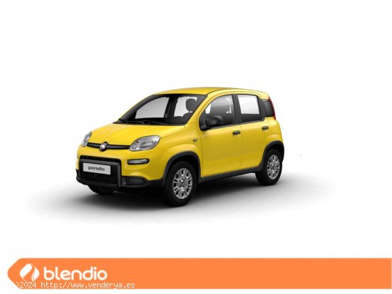 Fiat Panda Panda 1.0 Hybrid 51kW (70cv) - Santander