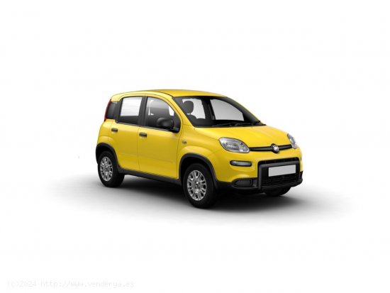 Fiat Panda Panda 1.0 Hybrid 51kW (70cv) - Santander