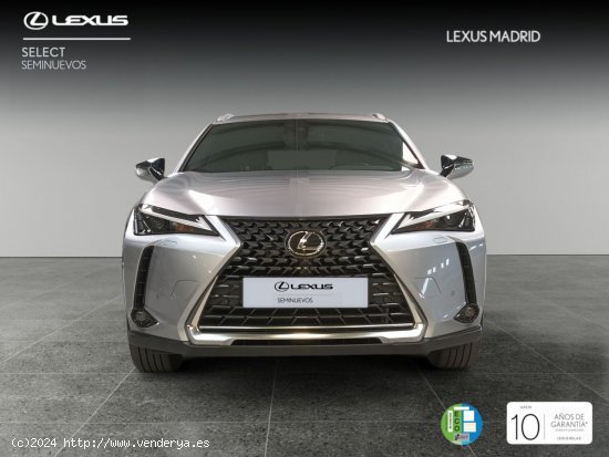 Lexus UX 2.0 250h Premium - El Plantío