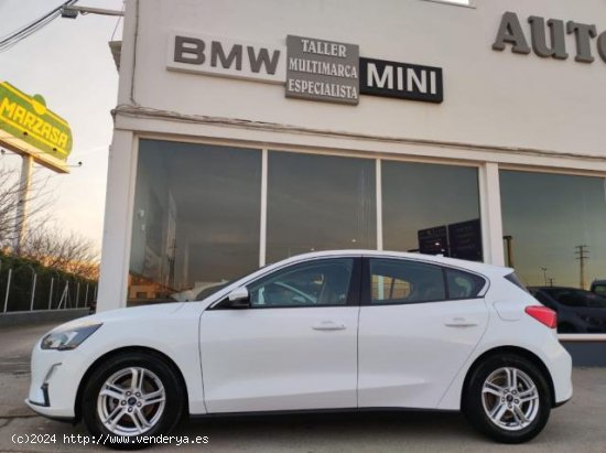 FORD Focus en venta en Manzanares (Ciudad Real) - Manzanares