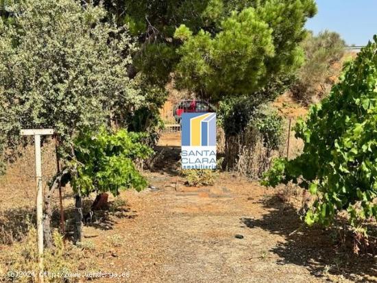 FINCA VALLADA CON CASA EN VENTA Y 2,7 HECTÁREAS DE TERRENO EN VILLALPANDO (ZAMORA) - ZAMORA