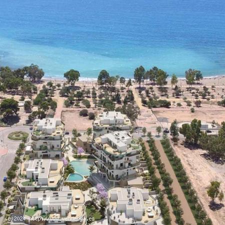  ADOSADO DE OBRA NUEVA A UN PASO DE PLAYA DE TORRES EN VILLAJOYOSA - ALICANTE 