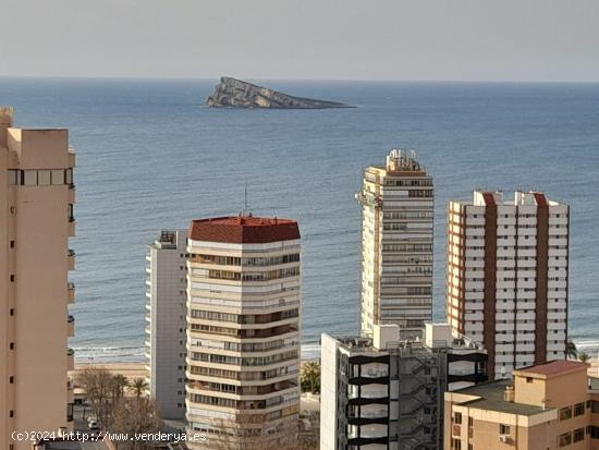 SE VENDE PISO DE CUATRO DORMITORIOS EN BENIDORM LEVANTE. SEVENDGROUP.COM - ALICANTE