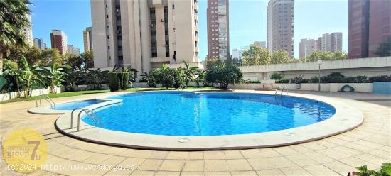  SE VENDE ATICO DE DOS DORMITORIOS CON TERRAZA DE 70 METROS EN BENIDORM LEVANTE - ALICANTE 