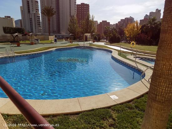 Piso Benidorm en edificio exclusivo con garaje y trastero - ALICANTE