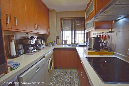  APARTAMENTO EN LA ZONA DE LAS DELICIAS - CADIZ 