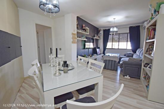 APARTAMENTO EN LA ZONA DE LAS DELICIAS - CADIZ