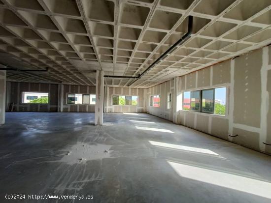 Nave en alquiler en el Parque Empresarial de Torrellano, Elche. - ALICANTE