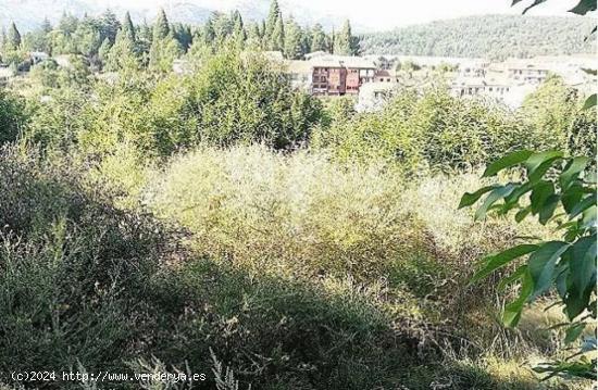 Urbis te ofrece una parcela en Candelario (Salamanca). - SALAMANCA