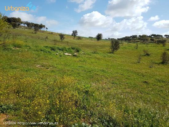  PARCELA EN LAS URBANIZACION LAS ROZAS DE 1250MTRS MUY CERCA DE BADAJOZ - BADAJOZ 