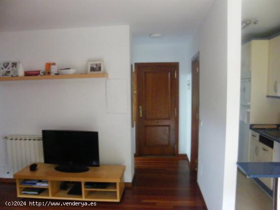 APARTAMENTO CON JARDIN - CANTABRIA