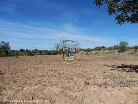 TERRENO DE 17.900M2  EN PRODUCCIÓN CON POSSIBILIDAD DE CONSTRUIR EN AGULLENT(VALENCIA) - VALENCIA