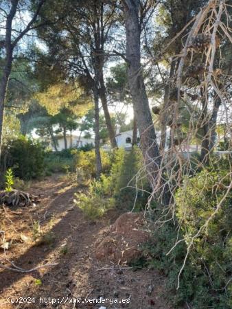 Parcela en Benissa costa - ALICANTE