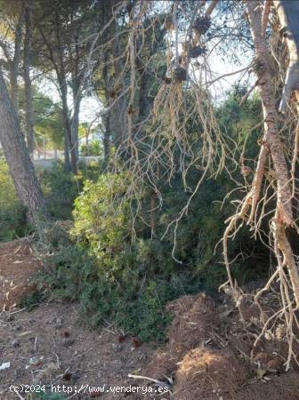 Parcela en Benissa costa - ALICANTE