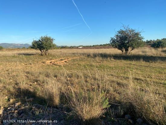  FINCA RUSTICA EN LLIRIA - VALENCIA 