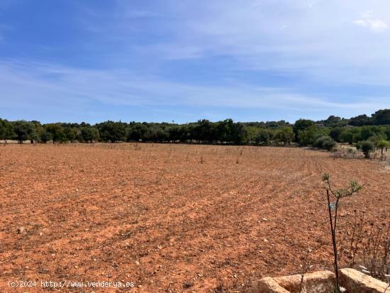 Finca Campanet - BALEARES