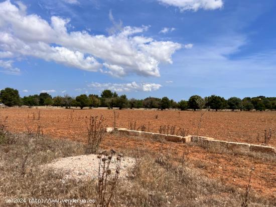 Finca Campanet - BALEARES