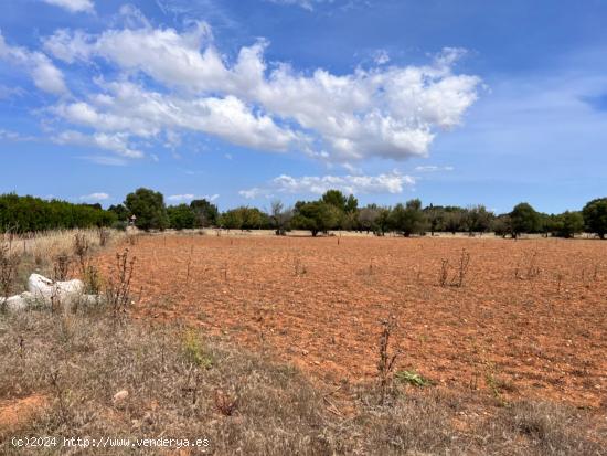 Finca Campanet - BALEARES