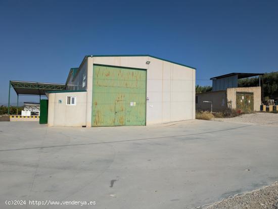  NAVE Y TERRENO EN VENTA EN CALASPARRA - MURCIA 