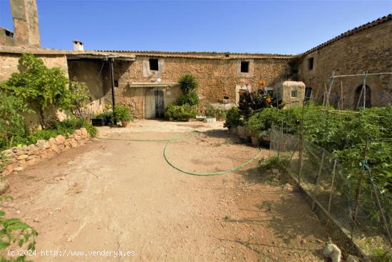 125 hectáreas para energéticas o cultivo más casas - BALEARES