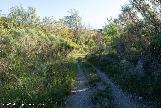 Terreno en venta en poligono 13 parcela 27, Riudecols - TARRAGONA