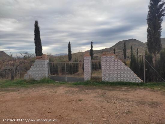  FINCA DE 11000 MTS PROXIMA A LA AZOHIA - MURCIA 