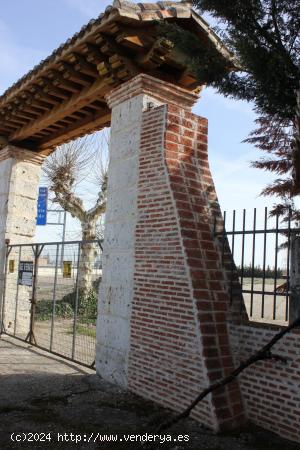 VENTA de TERRENO URBANO en Cigales - VALLADOLID