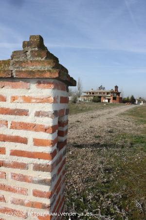 VENTA de TERRENO URBANO en Cigales - VALLADOLID