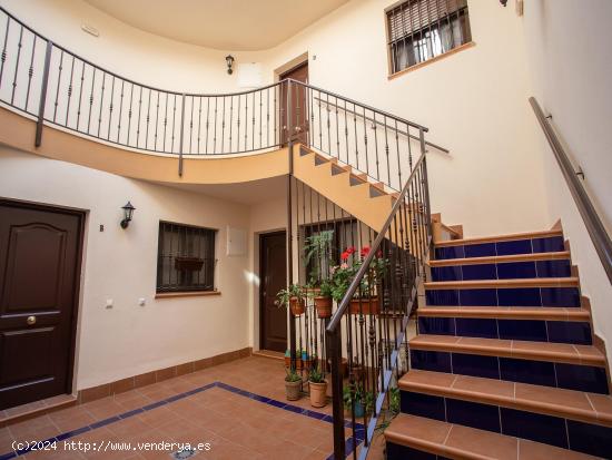 APARTAMENTO EN EL CENTRO - CADIZ