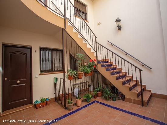 APARTAMENTO EN EL CENTRO - CADIZ