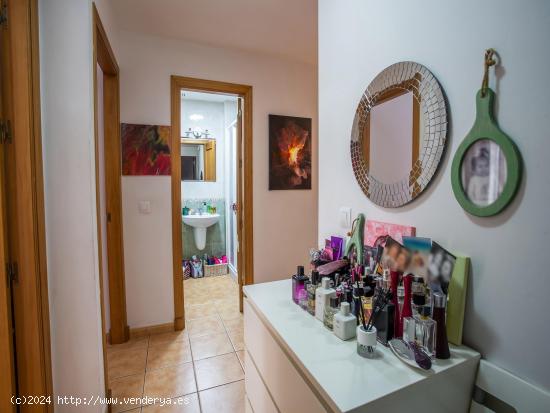 APARTAMENTO EN EL CENTRO - CADIZ