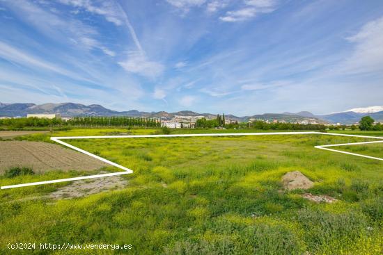  FINCA RÚSTICA EN GRANADA - GRANADA 