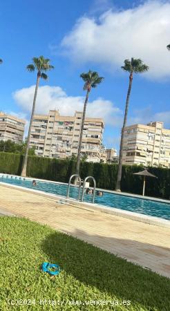 ALQUILER DE EXCELENTE VIVIENDA REFORMADA ZONA PLAYA DE SAN JUAN - ALICANTE