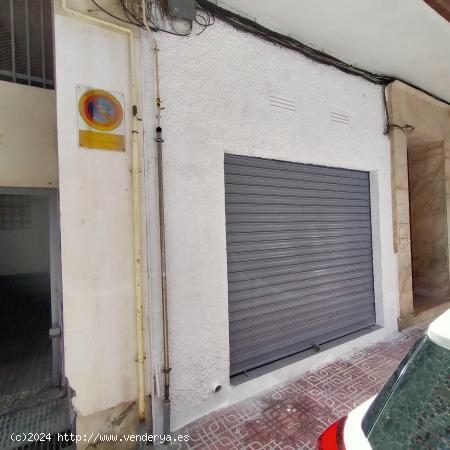 LOCAL COMERCIAL - ZONA TORREVIEJA - - ALICANTE