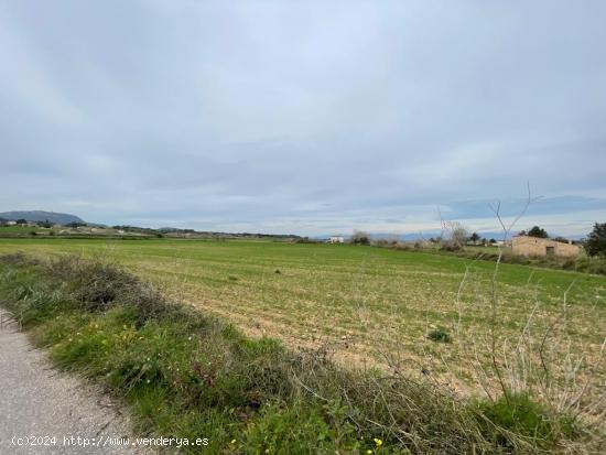  SE VENDE TERRENO EDIFICABLE EN MONTUIRI - BALEARES 