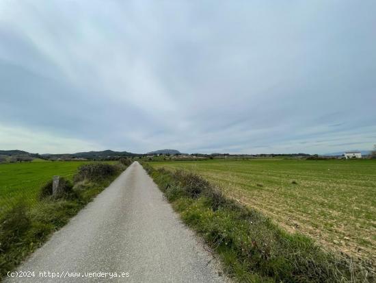 SE VENDE TERRENO EDIFICABLE EN MONTUIRI - BALEARES