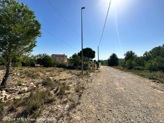 TERRENOS URBANOS EN LLOMA MOLINA - VALENCIA