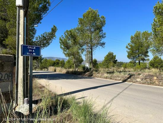 TERRENOS URBANOS EN LLOMA MOLINA - VALENCIA