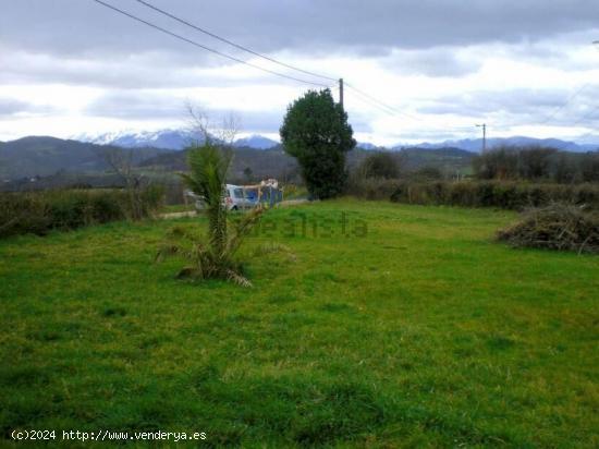 VENTA PARCELA en VIDRIERA - LLANERA (ASTURIAS) - ASTURIAS