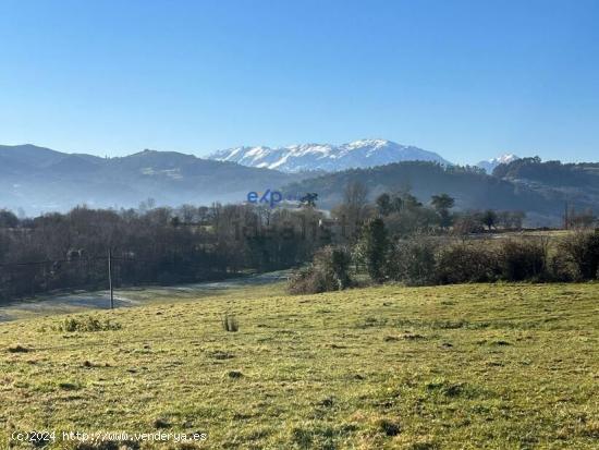 VENTA PARCELA en VIDRIERA - LLANERA (ASTURIAS) - ASTURIAS