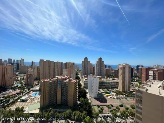 Se Vende en Benidorm - ALICANTE