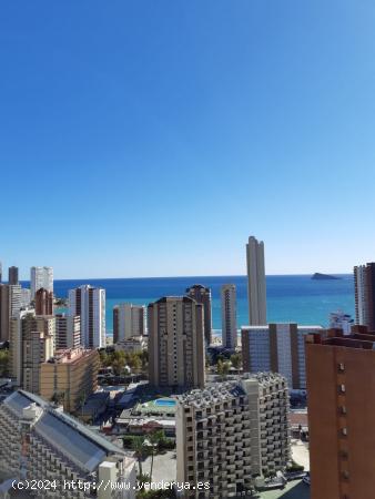  APARTAMENTO PLAYA DE LEVANTE - ALICANTE 