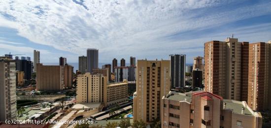 OPORTUNIDAD ÁTICO EN BENIDORM!! CENTRO LEVANTE - ALICANTE