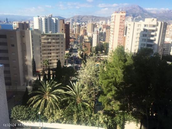 Se Vende en Benidorm - ALICANTE