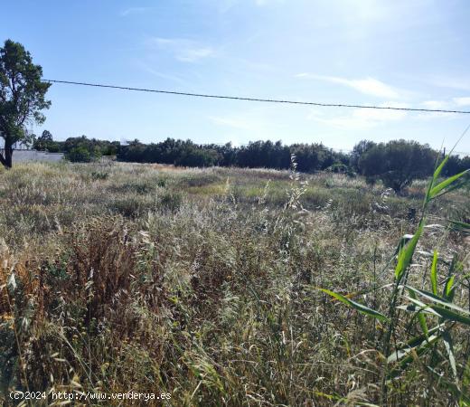  Terreno urbanizable en zona Villanueva Golf - CADIZ 