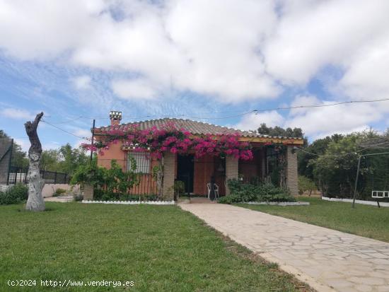 FINCA CON CHALET Y PISCINA , ZONA DEL MARQUESADO - CADIZ