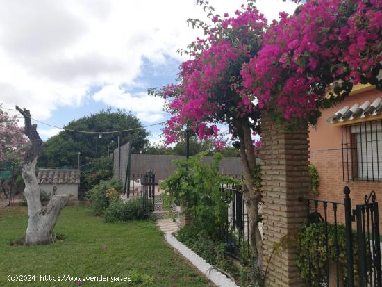 FINCA CON CHALET Y PISCINA , ZONA DEL MARQUESADO - CADIZ