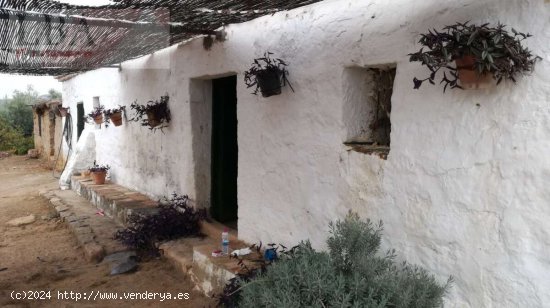 CASA CON PISCINA CERCA DEL LA LOCALIDAD. (PRECIO NEGOCIABLE) - Baños de la Encina