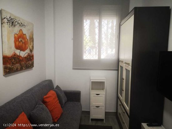 Loft de Obra Nueva en Alquiler en Sevilla Sevilla SEVILLA ESTE