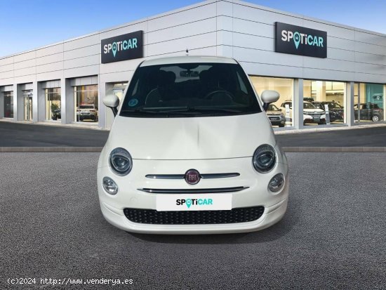 Fiat 500 500 1.2 8V 51KW (69 CV) Lounge - Cadiz